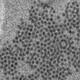 Enterovirus D68, seen above under an electron microscope, is suspected of causing a rare polio-like paralysis.